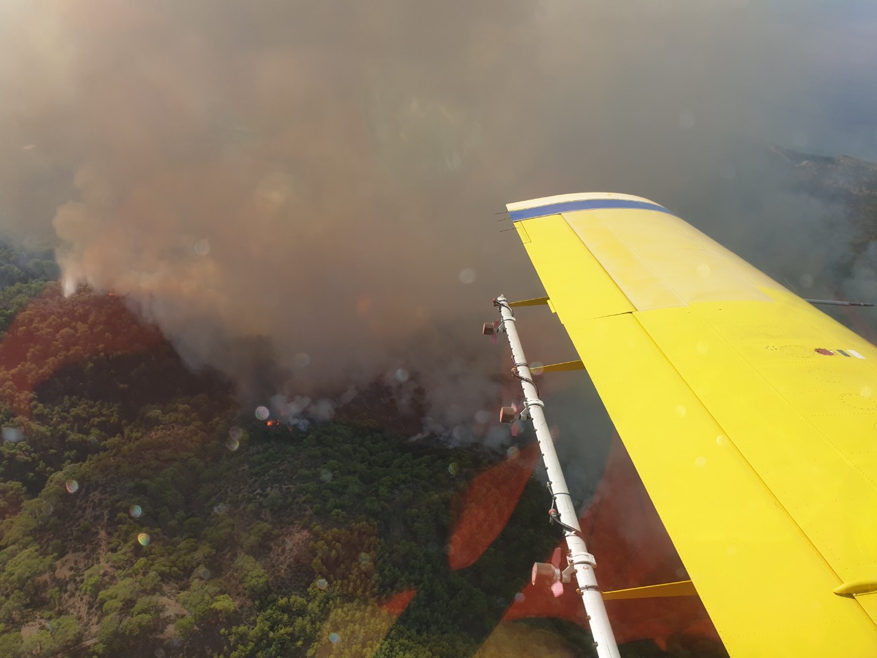 Τμήμα Δασών: Καθαρά έργο εμπρηστών οι πυρκαγιές στον Ακάμα