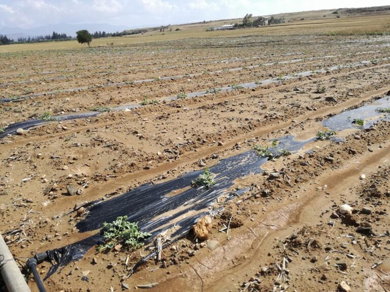 Υπ. Γεωργίας: Αρχίζει η καταβολή των αποζημιώσεων για τις καταστροφές Οκτωβρίου