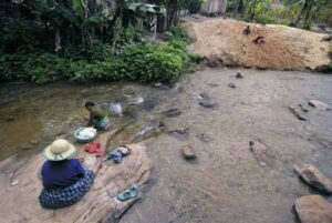 Ινδονησία: Κροκόδειλος κατασπάραξε γυναίκα ενώ έπλενε ρούχα σε ποτάμι