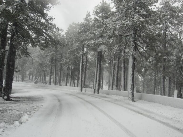 Καιρός: Χριστούγεννα με χιόνια και χαμηλές θερμοκρασίες