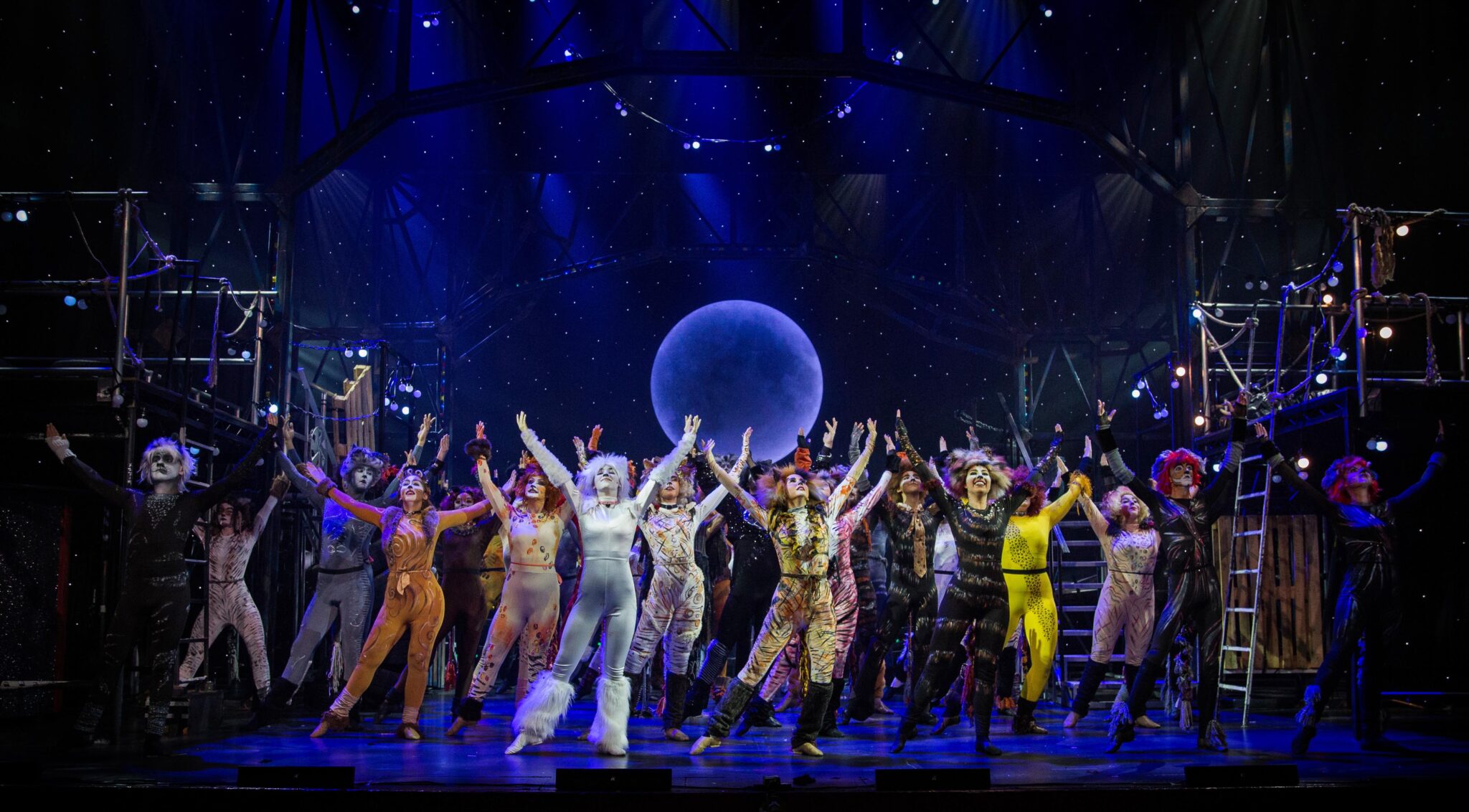 Το μυθικό μιούζικαλ CATS τα Χριστούγεννα στην Κύπρο