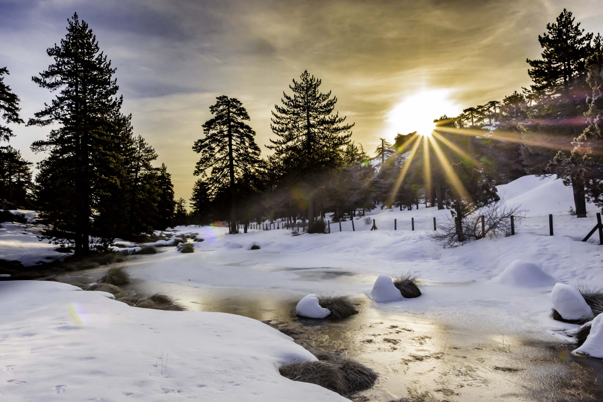 Φωτογραφική έκθεση του έργου iLIFE-TROODOS