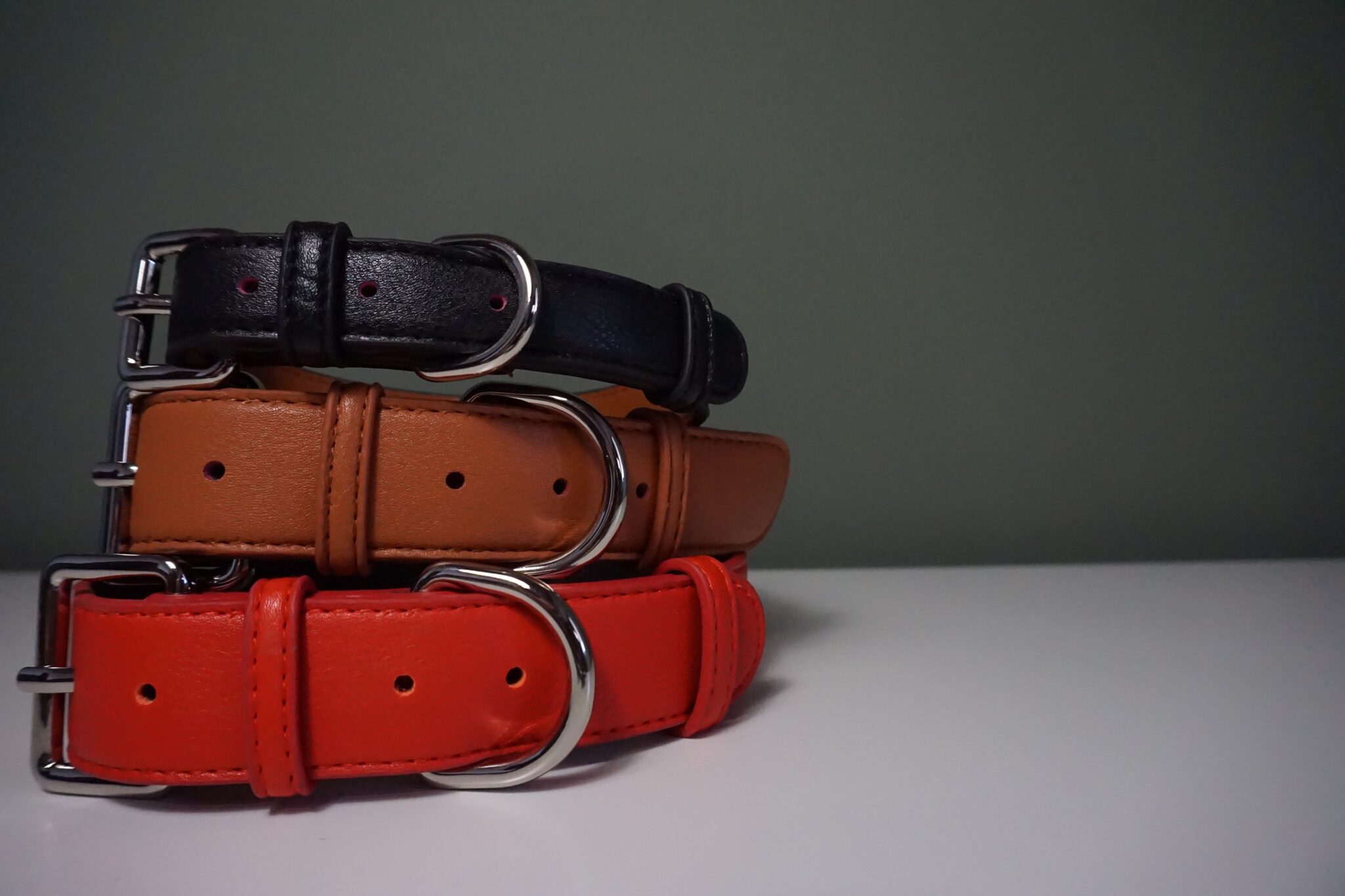 Γίνε Άγιος Βασίλης για το σκυλάκι σου και χάρισε φαγητό  σε ένα αδέσποτο ζωάκι