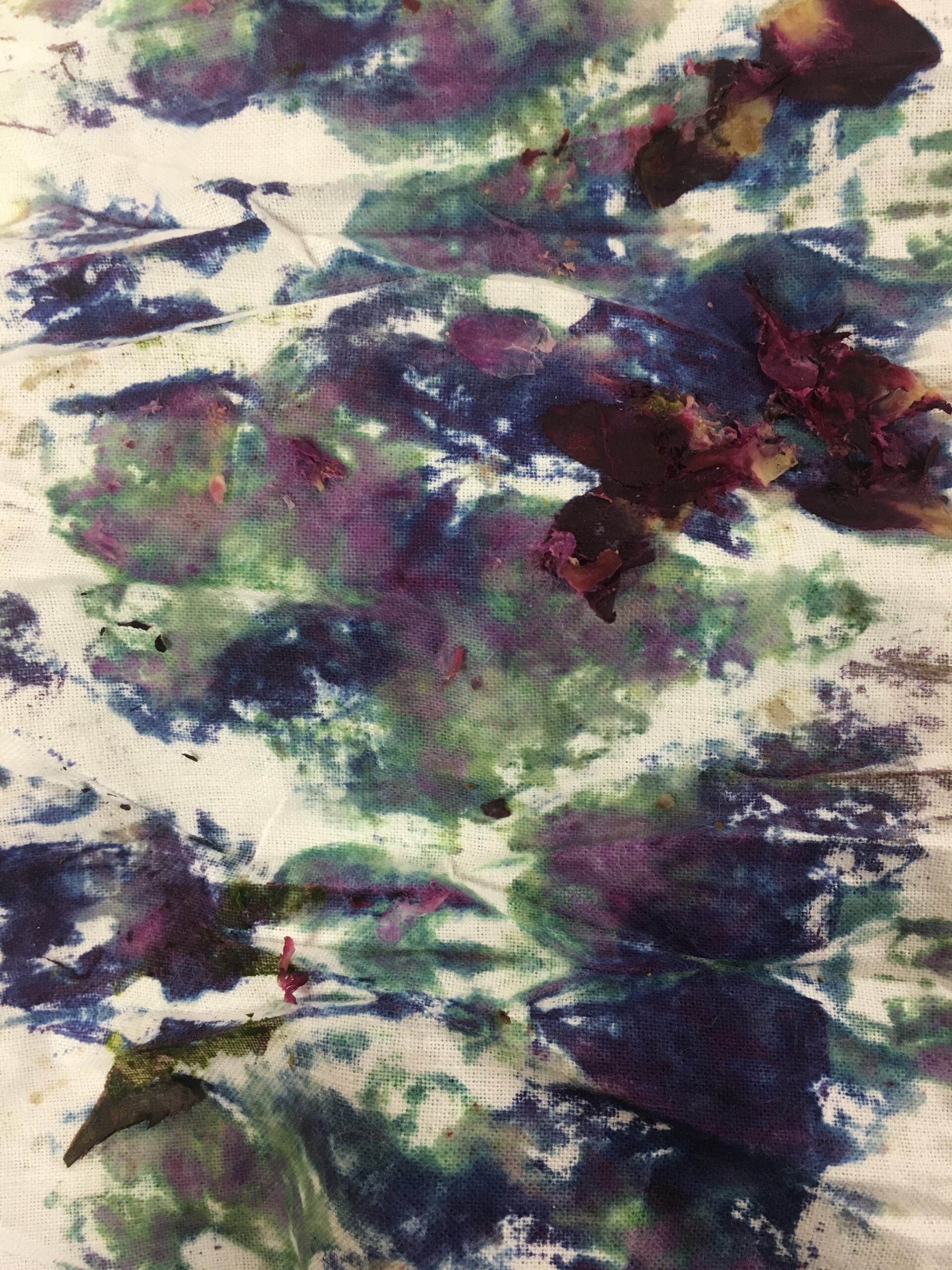 Διαδραστικό πρόγραμμα για δημιουργίες με άγρια λουλούδια και βότανα