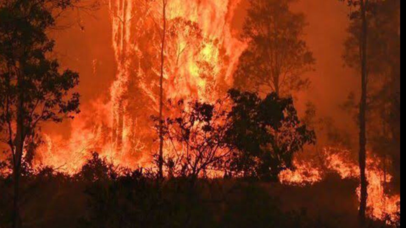 Δεν προβλέπεται πτώση θερμοκρασίας τους επόμενους μήνες στην Αυστραλία