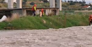 Μπήκαν στα ορμητικά νερά ποταμού για να διασώσουν σκυλάκια (ΒΙΝΤΕΟ)