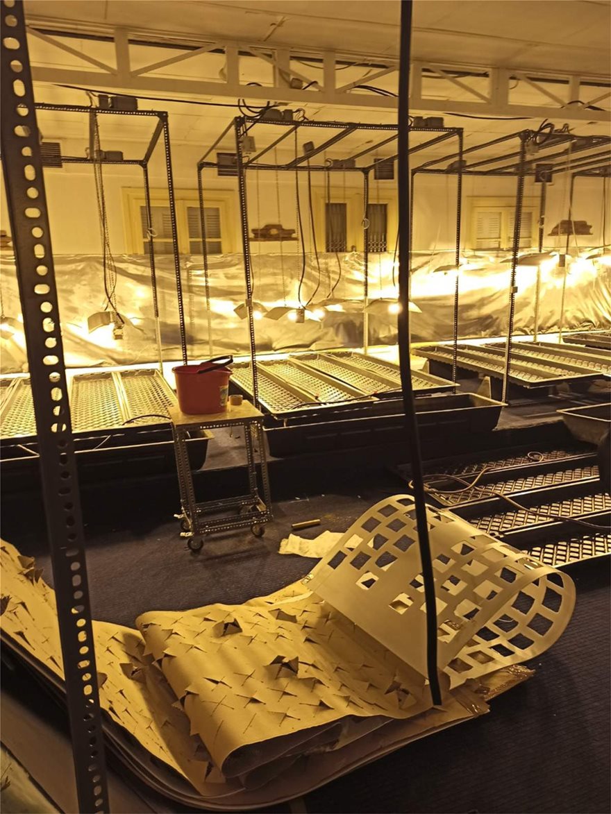 "Ξήλωσαν" τρία "εργοστάσια" καλλιέργειας κάνναβης στην Αττική (ΒΙΝΤΕΟ)