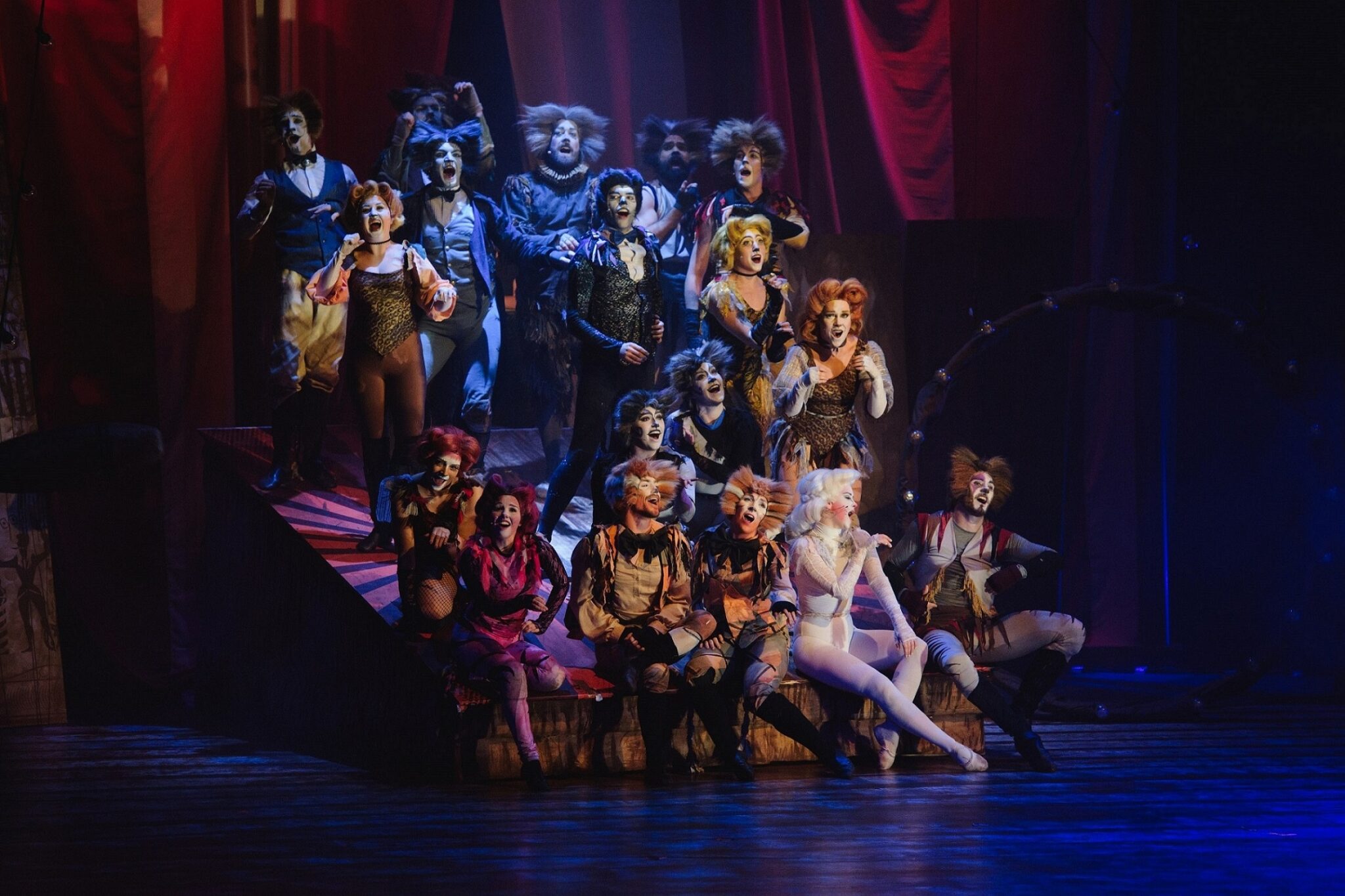 Ενθουσίασε και καταχειροκροτήθηκε το μιούζικαλ CATS στην Κύπρο
