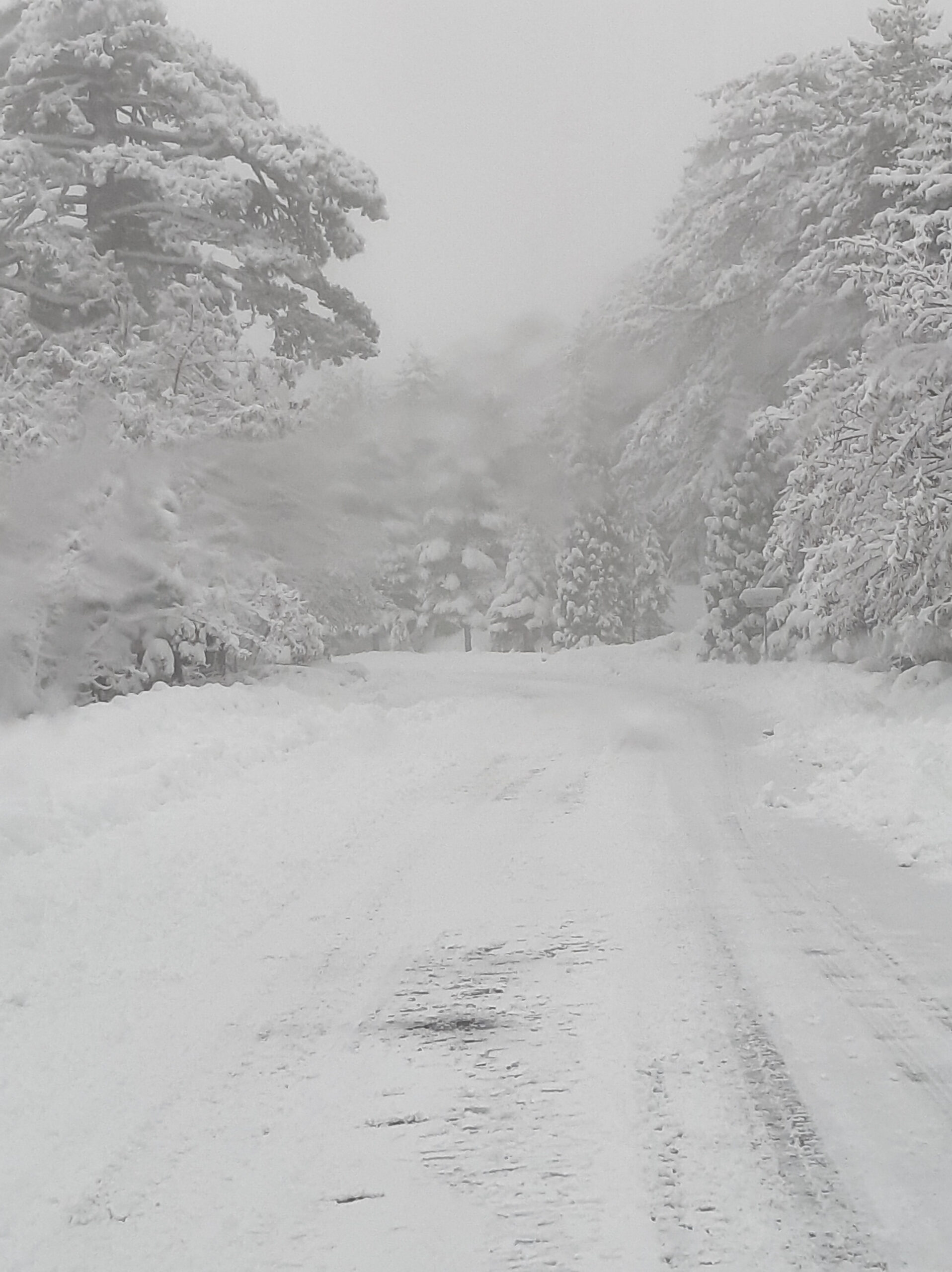 Νέα κίτρινη προειδοποίηση σε ισχύ για βροχές και καταιγίδες