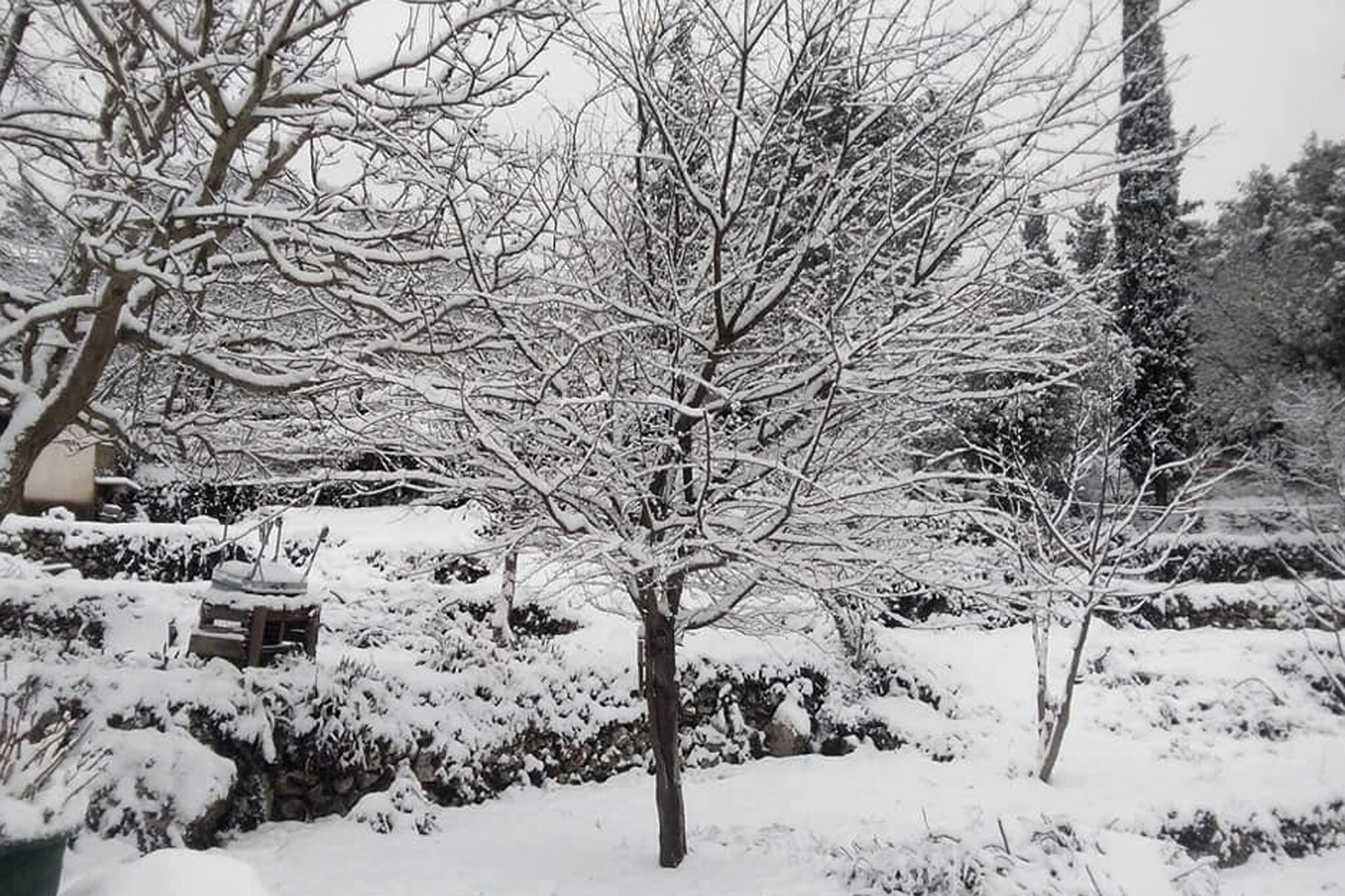 Μετεωρολόγος: "Θα έχουμε ήλιο αλλά θα έχουμε ήλιο με δόντια" (ΒΙΝΤΕΟ)