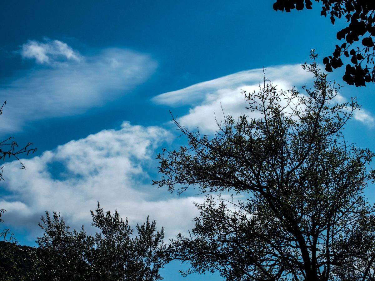 Πως θα είναι ο καιρός την Τσικνοπέμπτη; (BINTEO)