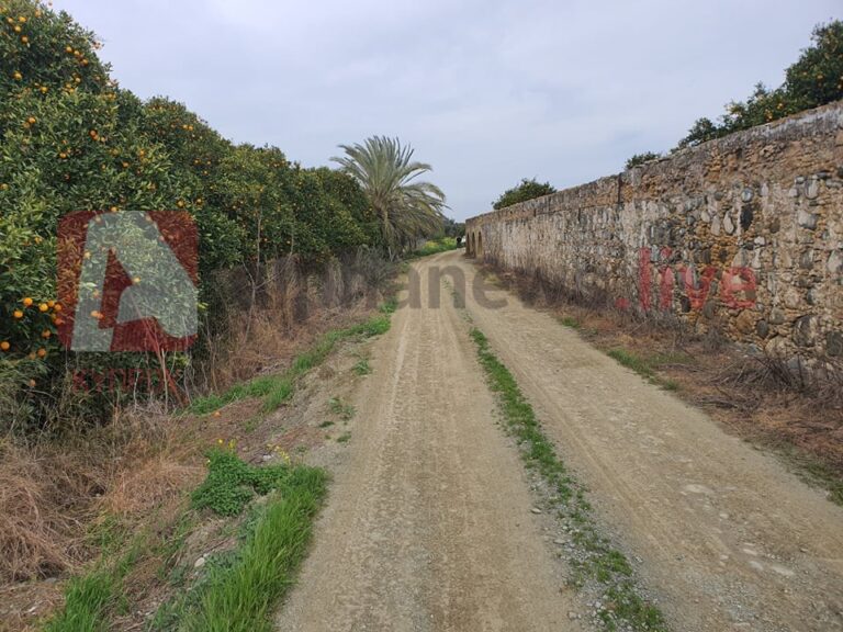 "Αγωνιούμε για το τι θα συναντήσουμε στον δρόμο για τα χωράφια μας" (ΒΙΝΤΕΟ)