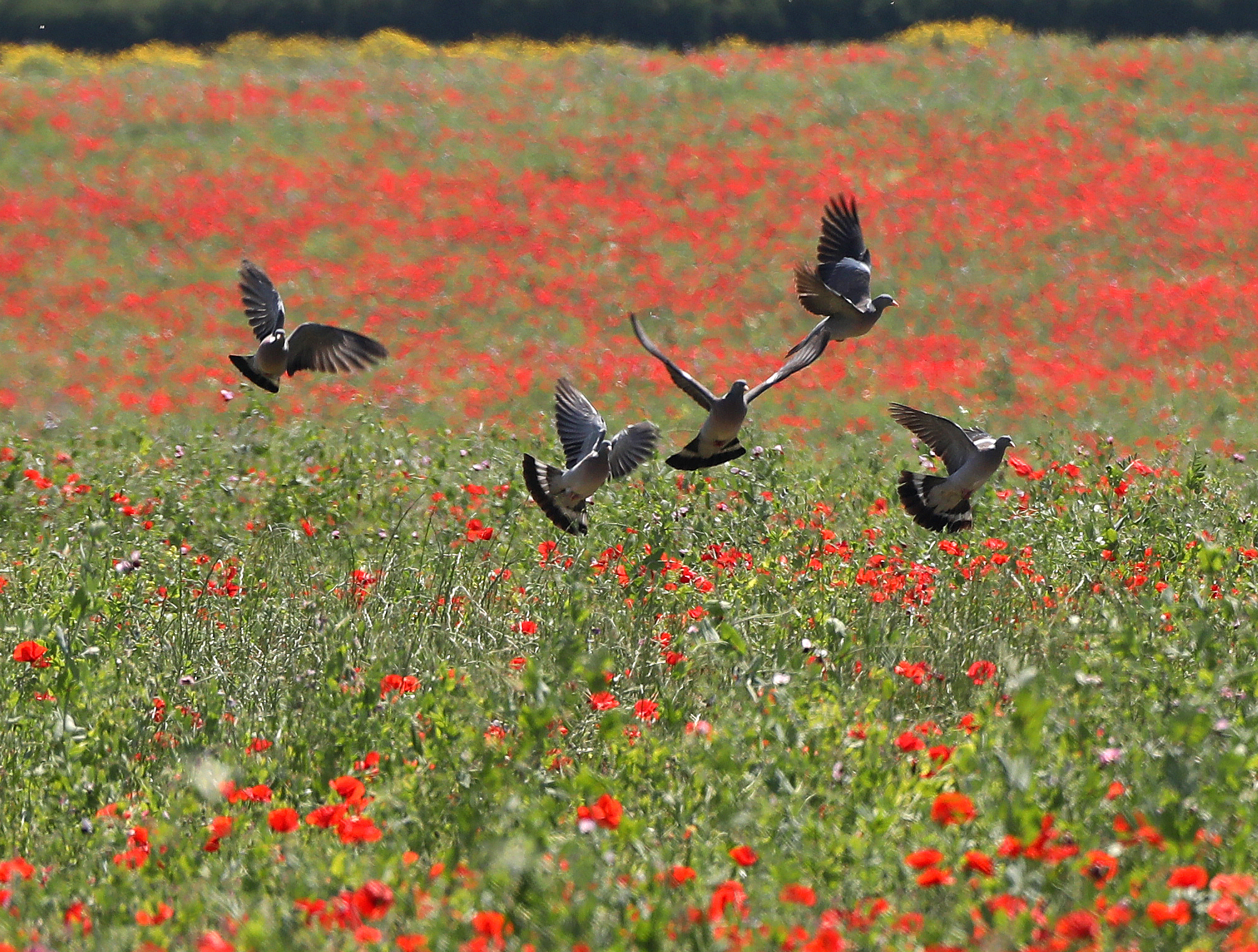 Στην τελική ευθεία για το στρατηγικό πλάνο χαλαρώσεων
