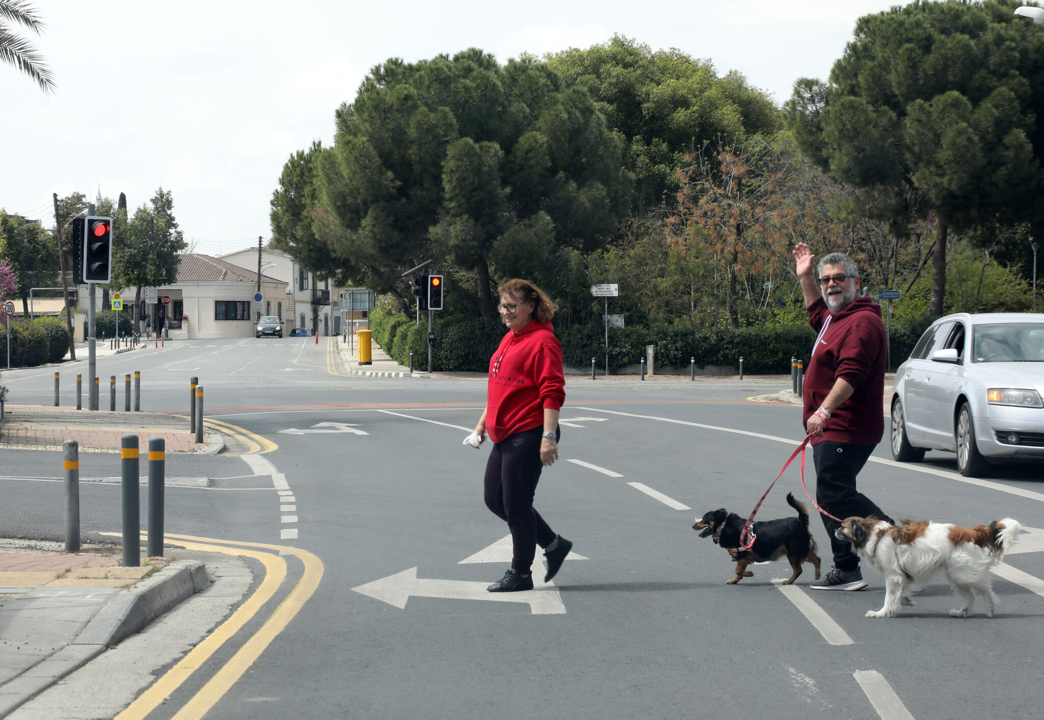 Αυξημένη ζήτηση υιοθεσίας σκύλων εν καιρώ…καραντίνας (BINTEO)