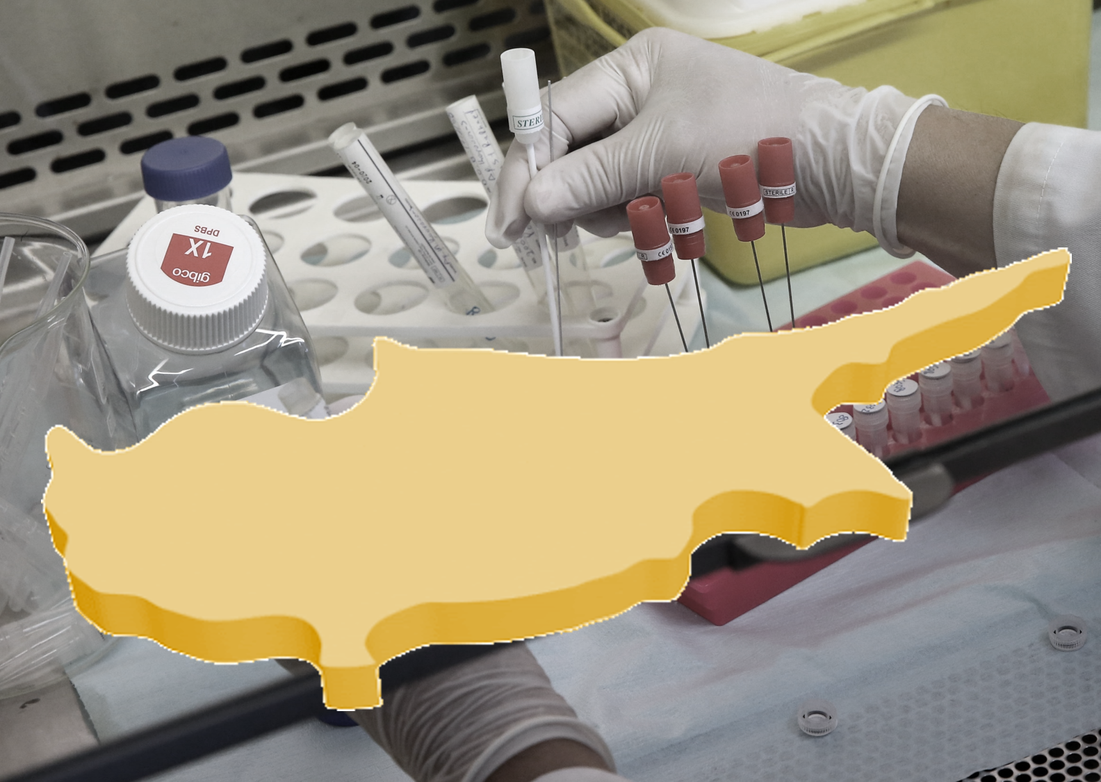 Η "ακτινογραφία" του ιού Covid-19 στην Κύπρο (ΦΩΤΟ)