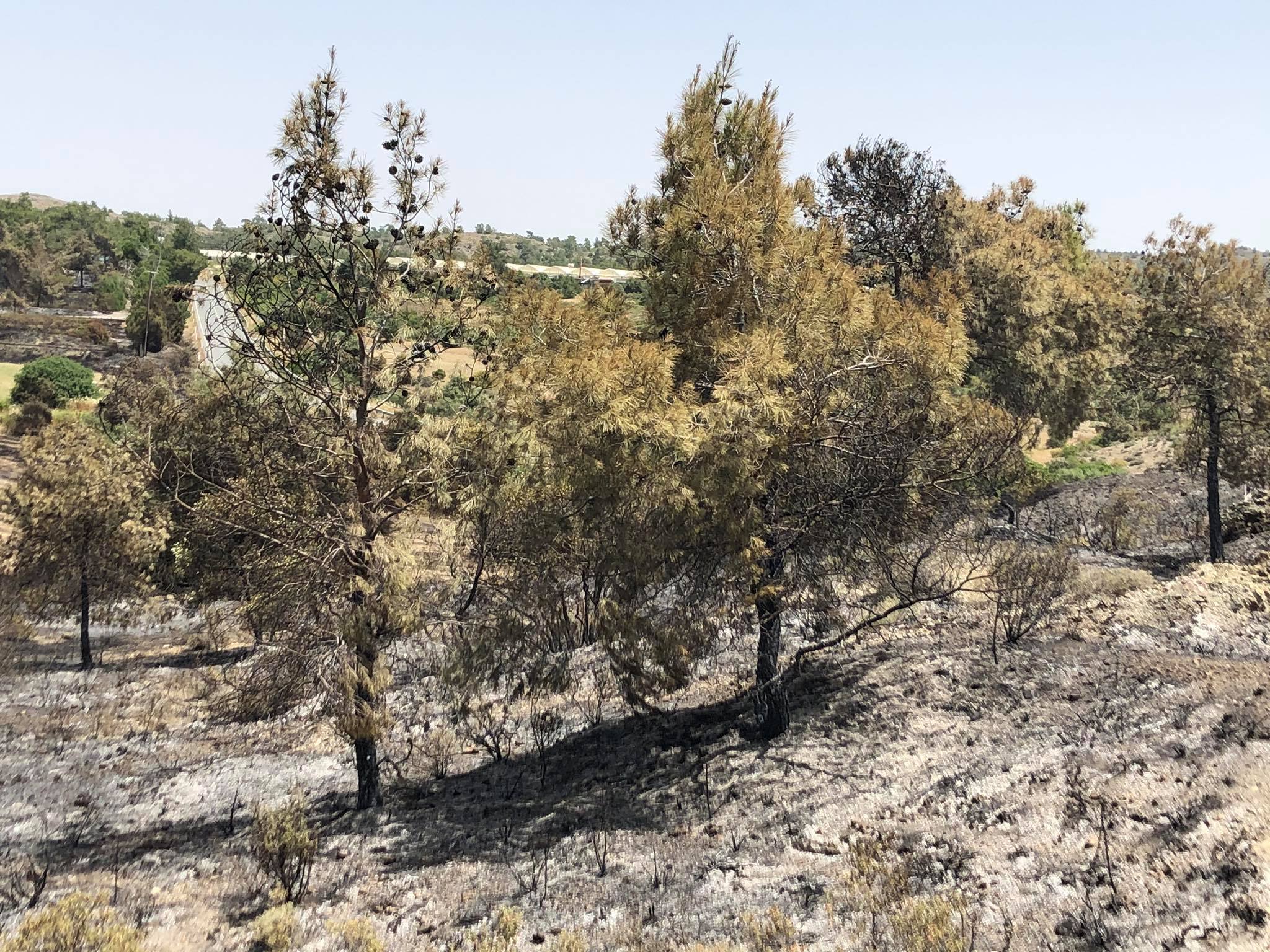 Η επόμενη μέρα της μεγάλη πυρκαγιάς στον Κόρνο (ΒΙΝΤΕΟ)