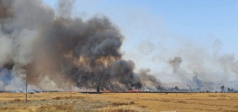 Αυτός είναι ο χειρότερος εχθρός της Πυροσβεστικής Υπηρεσίας (ΒΙΝΤΕΟ)