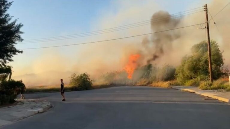 Σε πέντε σημεία η πυρκαγιά κοντά σε κατοικίες στην Αγλαντζιά (ΒΙΝΤΕΟ&ΦΩΤΟ)