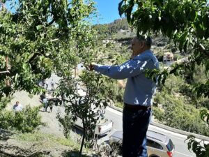 Αυτοψία Καδή στις πληγείσες από τη χαλαζόπτωση καλλιέργειες στον Αγρό (ΒΙΝΤΕΟ)