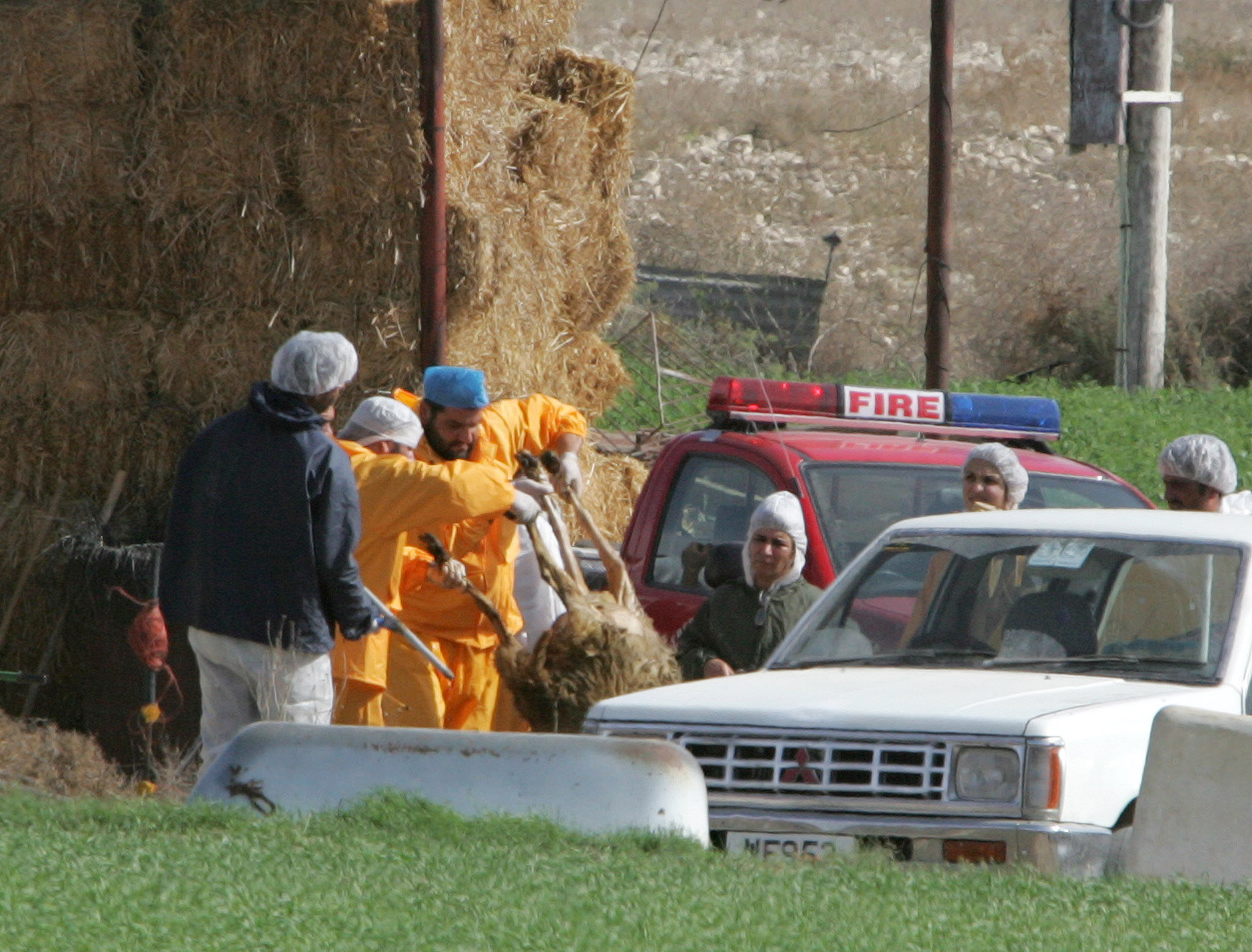 Άθλιες συνθήκες διαβίωσης για Αιγύπτιους εργάτες σε μάντρα στη Ξυλοφάγου