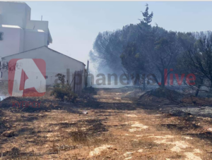 Δύο τα μέτωπα πυρκαγιών στην Αγία Νάπα (ΒΙΝΤΕΟ)