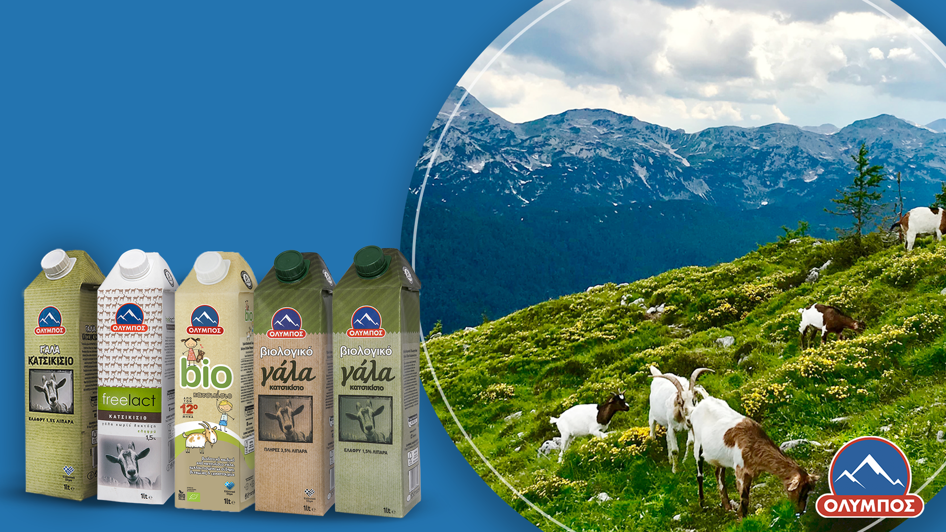 Ανακάλυψε την γκάμα κατσικίσιων προϊόντων της ΟΛΥΜΠΟΣ.