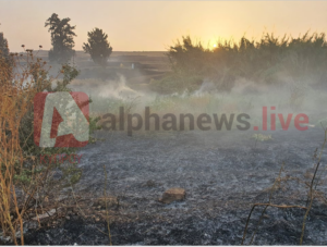 Ένα τετραγωνικό χιλιόμετρο γης κατέκαψε η πυρκαγιά στην Κοκκινοτριμιθιά (VID)