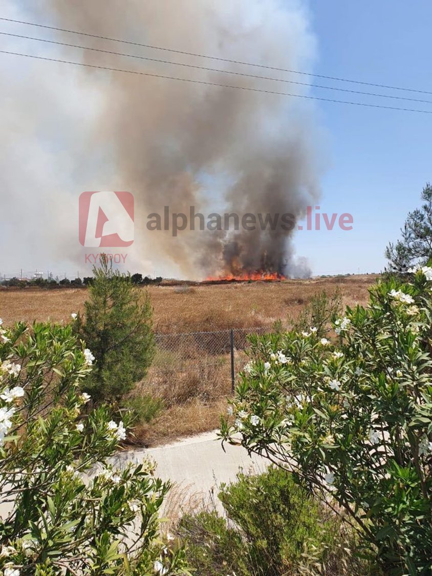 Πυρκαγιά κοντά στο Κέντρο Φιλοξενίας Μεταναστών στη Κοκκινοτριμιθιάς (ΒΙΝΤΕΟ)