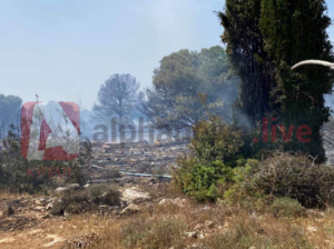 «Μπαράζ» πυρκαγιών με τον καιρό να δυσχεραίνει το έργο των Αρχών (VID)