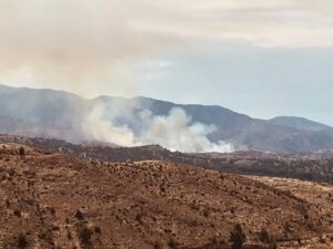 ΦΩΤΟ: Μεγάλη πυρκαγιά από τα κατεχόμενα πέρασε στις ελεύθερες περιοχές
