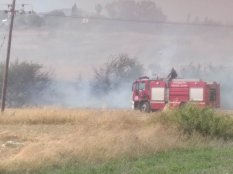 ΦΩΤΟ: Παρανάλωμα του πυρός σωροί από σκουπίδια πίσω από σχολείο της Λευκωσίας