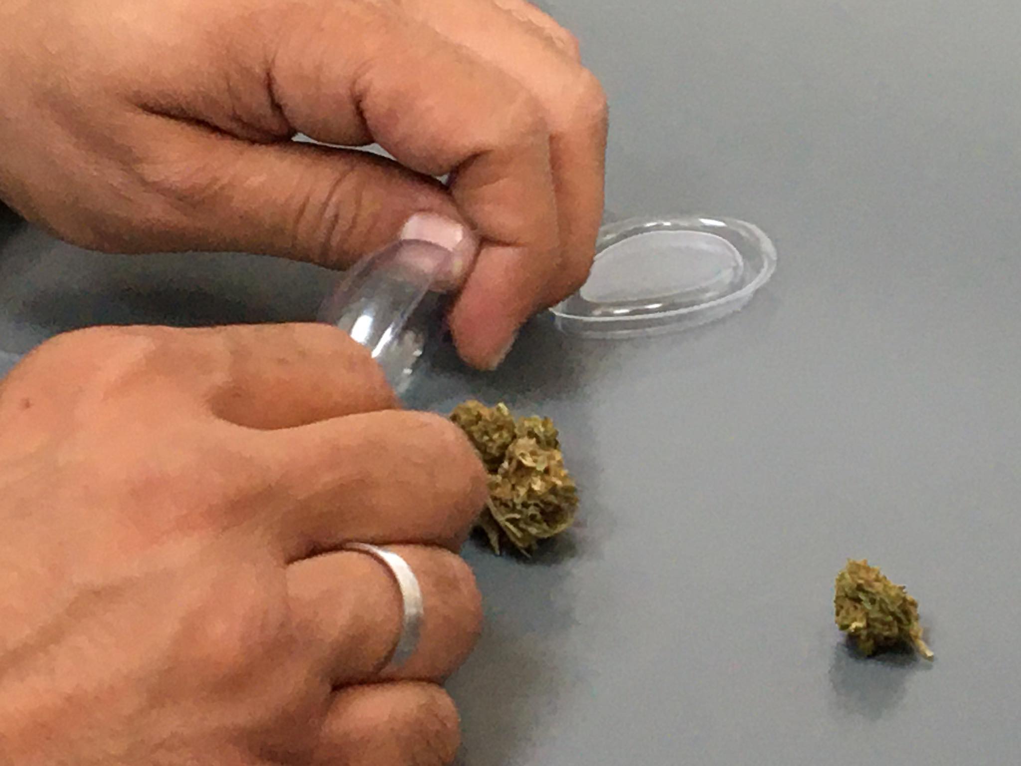 Μπήκαμε σε κατάστημα και προμηθευτήκαμε κάνναβη (ΒΙΝΤΕΟ)