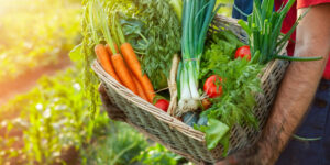 Αυξημένο ενδιαφέρον για τις online λαϊκές αγορές (ΒΙΝΤΕΟ)