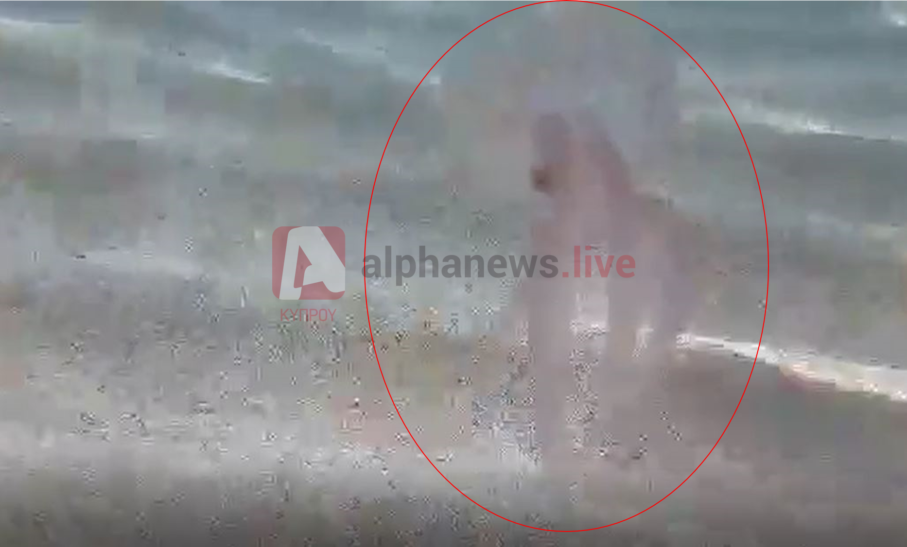 ΒΙΝΤΕΟ: "Παρέλαση" μεδουσών στις παραλίες του Πρωταρά