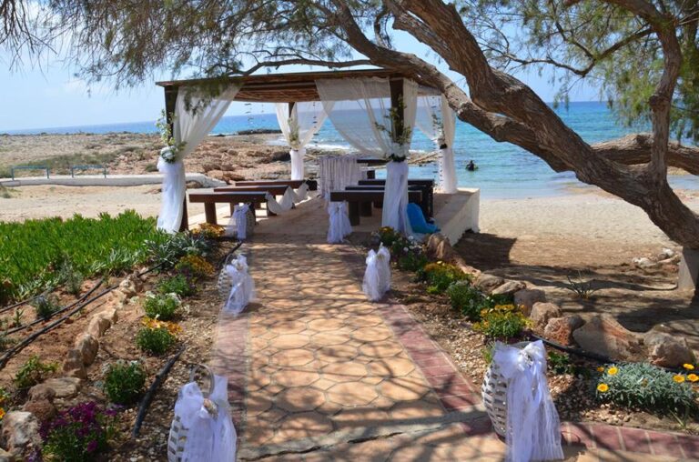 Δεξιώσεις γάμων πριν τον Σεπτέμβρη θα προτείνει στον ΠτΔ ο Κωστρίκης (ΒΙΝΤΕΟ)