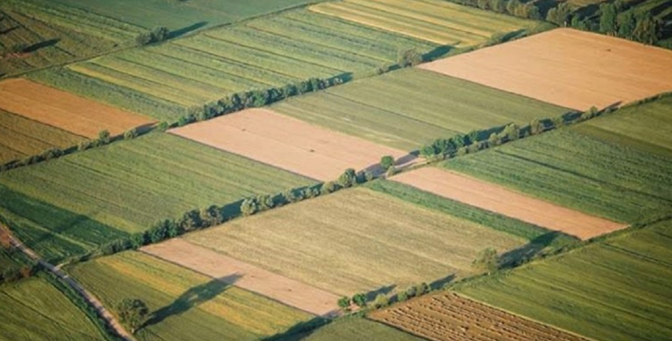 Αναδασμός: Ένα μεγάλο φαγοπότι με περιουσίες εκατομμυρίων (ΒΙΝΤΕΟ)