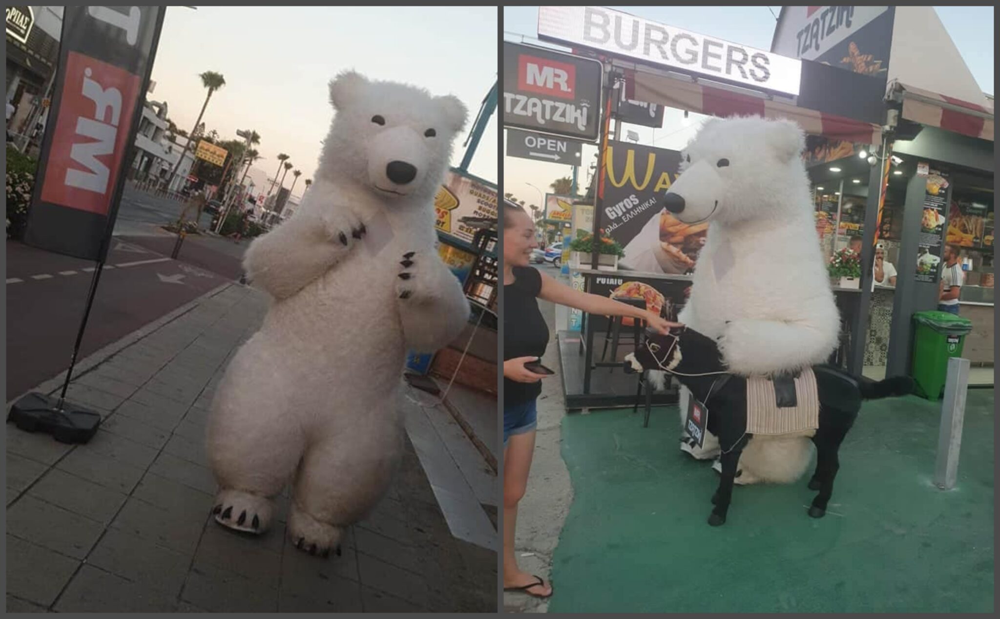 Πολικές αρκούδες "κόβουν"… βόλτες στους δρόμους της Αγίας Νάπας (ΦΩΤΟ)