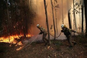 Εκατοντάδες πυροσβέστες δίνουν μάχη με τις φλόγες στην Πορτογαλία (ΦΩΤΟ)