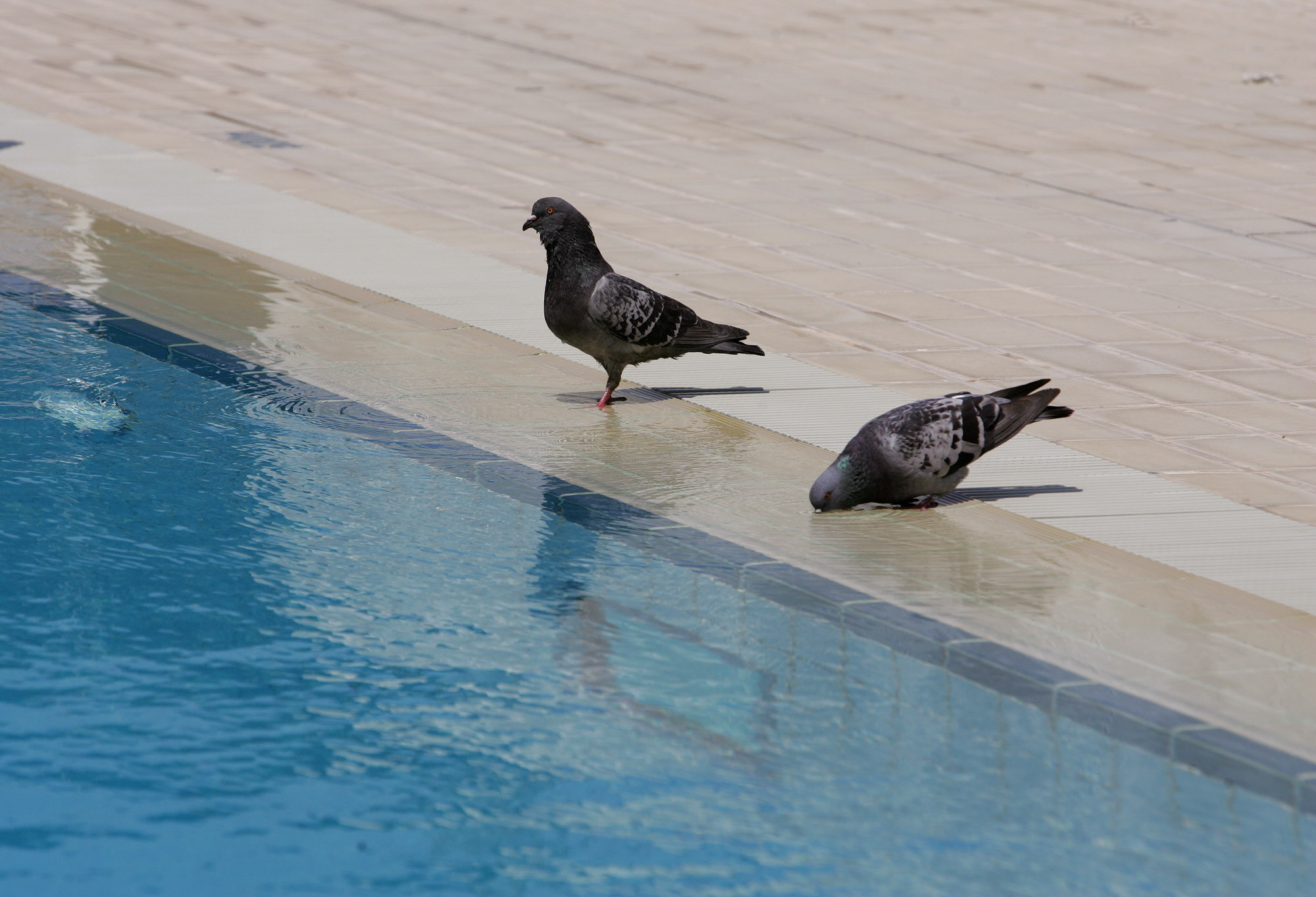 Δεν "πέφτει" ούτε και σήμερα κάτω από τα 40αρια ο υδράργυρος