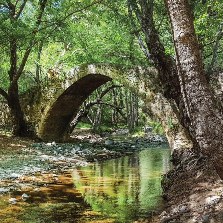 Εθνικό Δασικό Πάρκο Τροόδους