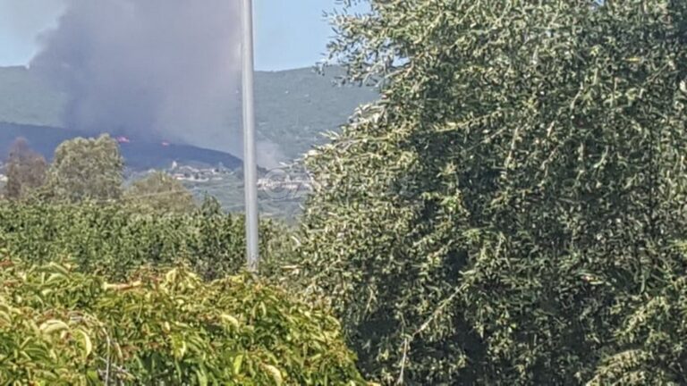 Μεγάλη φωτιά στο Πεταλίδι Μεσσηνίας με εκκένωση πληθυσμού (ΒΙΝΤΕΟ)