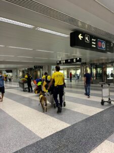 Η μια μετά την άλλη φτάνουν στον Λίβανο αποστολές ευρωπαϊκών χωρών (ΒΙΝΤΕΟ&ΦΩΤΟ)