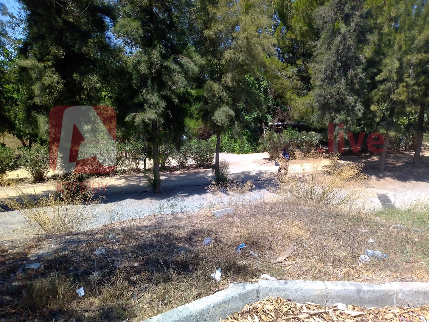 Χειροπέδες σε δεύτερο ύποπτο για την ένοπλη ληστεία σε τράπεζα του Στροβόλου