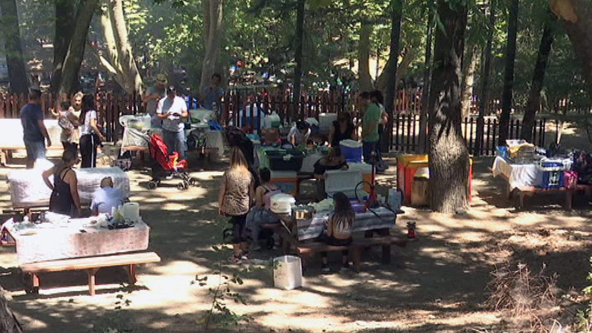 "Τζίζι μίζι" στα ορεινά και τους εκδρομικούς χώρους (ΒΙΝΤΕΟ)