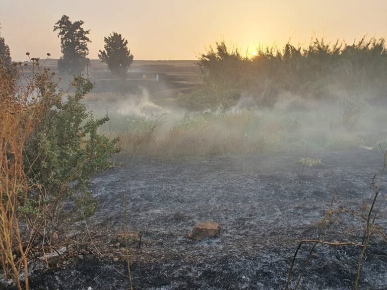 Πυρκαγιά στον Άγιο Τύχωνα: Προστατεύθηκαν παρακείμενες κατοικίες