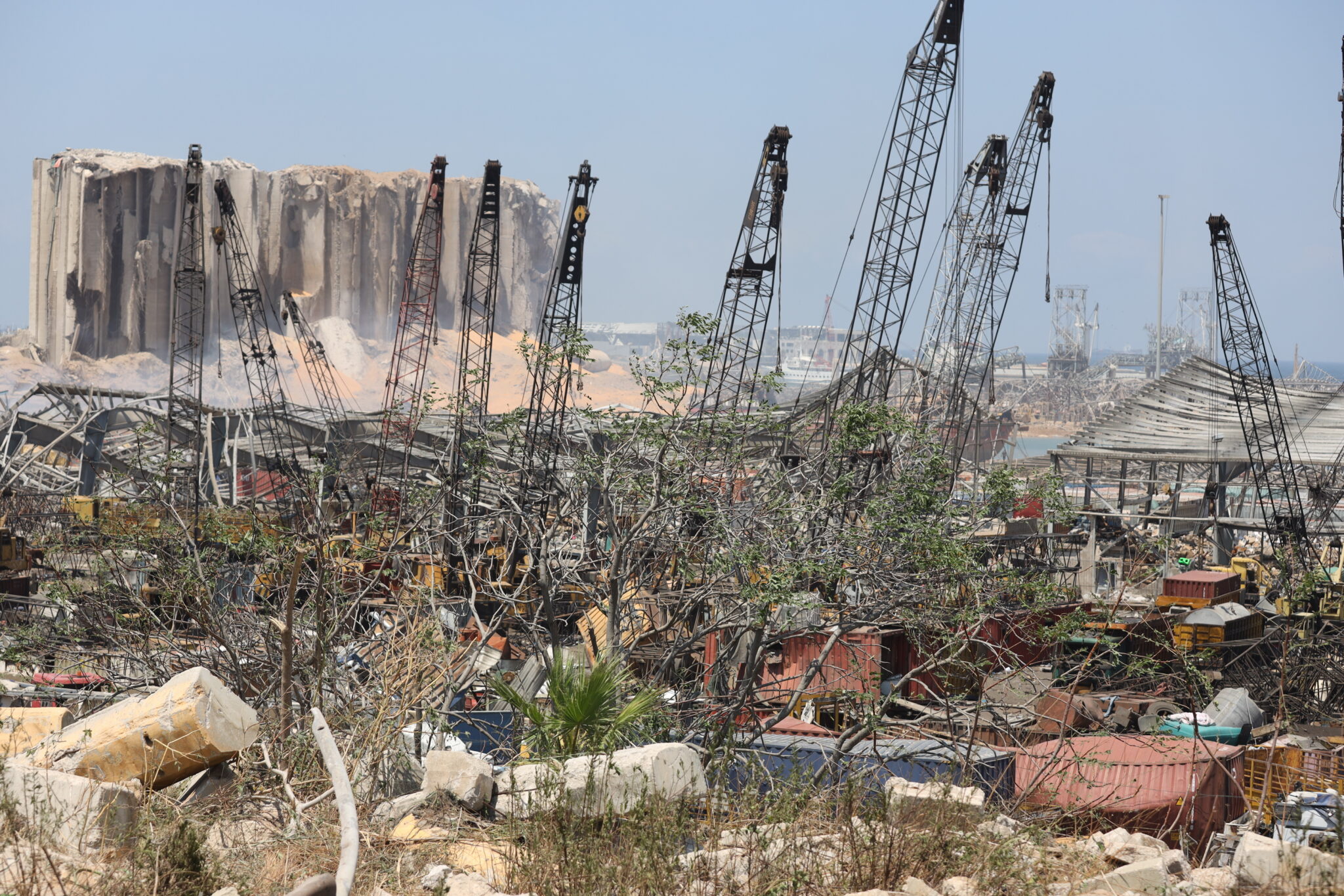Πιθανόν ξένοι εργαζόμενοι πολλά από τα θύματα που δεν έχουν αναγνωριστεί