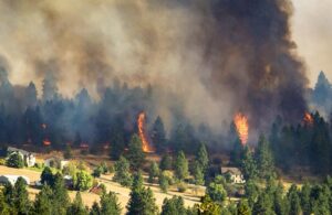"Ζωσμένο" από τις φλόγες το Λος Άντζελες (ΒΙΝΤΕΟ&ΦΩΤΟ)