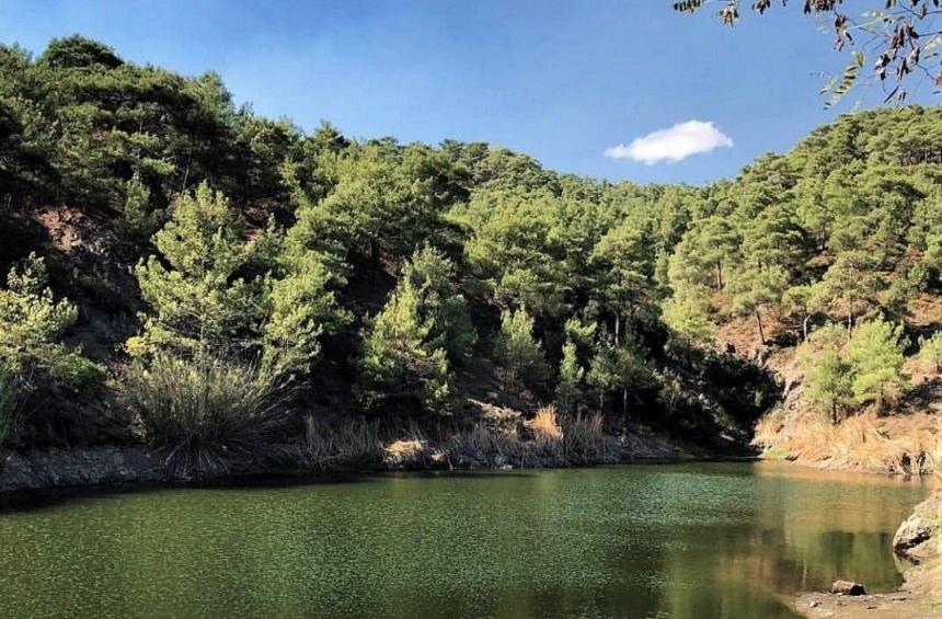 &Sigma;&tau;&omicron; 14,1% &eta; &sigma;&upsilon;&nu;&omicron;&lambda;&iota;&kappa;ή &pi;&lambda;&eta;&rho;ό&tau;&eta;&tau;&alpha; &tau;&omega;&nu; &phi;&rho;&alpha;&gamma;&mu;ά&tau;&omega;&nu; &tau;&eta;&sigmaf; &Kappa;ύ&pi;&rho;&omicron;&upsilon;