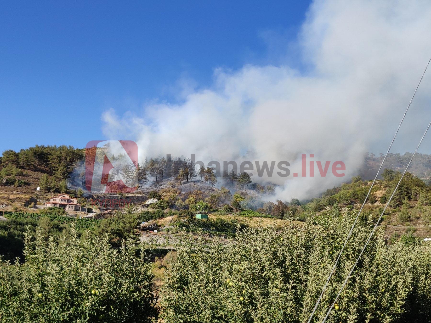 Μεγάλη πυρκαγιά στην Κυπερούντα (ΒΙΝΤΕΟ & ΦΩΤΟ)