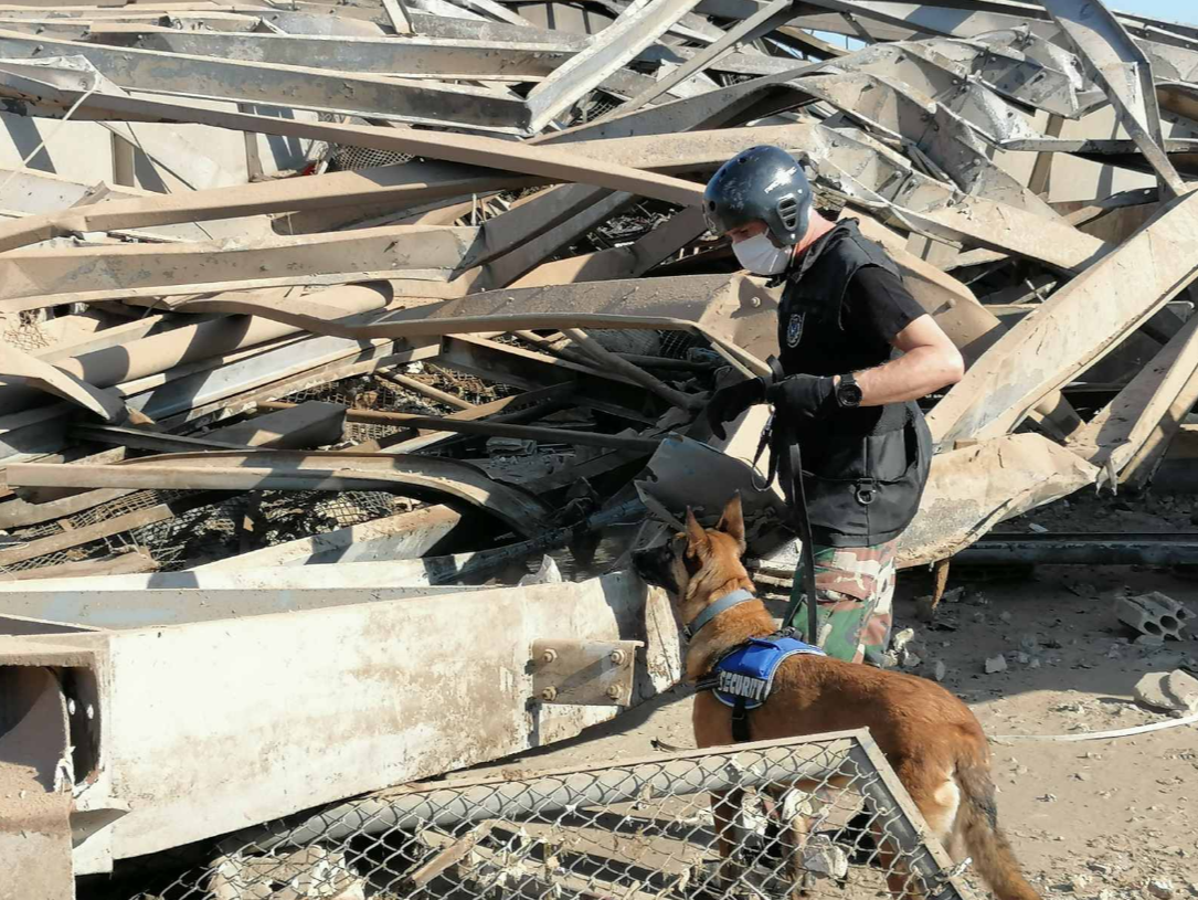 Εικόνες από τις έρευνες της κυπριακής αποστολής στο Λίβανο (ΒΙΝΤΕΟ)